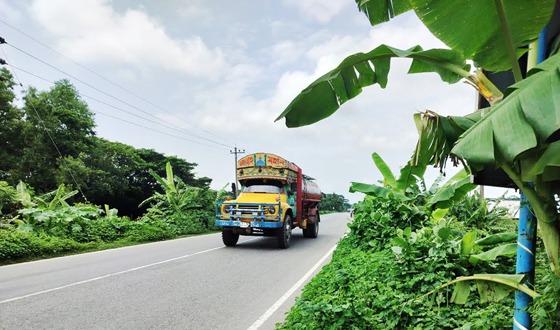 আমতলী মহাসড়কের ফুটপাত জুড়ে ঝোপঝাড়, ঝুঁকিতে পথচারীরা