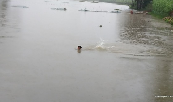 পাটকেলঘাটায় বৃষ্টিতে তলিয়েছে আমন বীজতলা