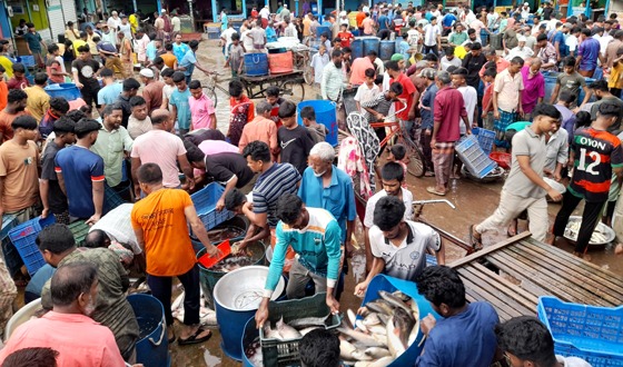 শায়েস্তাগঞ্জে তিন ঘন্টার বাজারে বিক্রি হয় কোটি টাকার মাছ