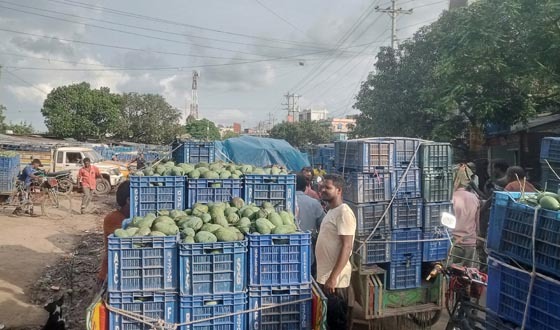 সাপাহারকে ঘিরে দুই দিনব্যাপী ‘ম্যাংগো ফেস্টিভ্যাল -২০২৫’ অনুষ্ঠিত হতে যাচ্ছে