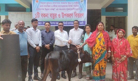 মান্দায় ক্ষুদ্র নৃগোষ্ঠীর মাঝে বকনা বাছুর ও উপকরণ বিতরণ
