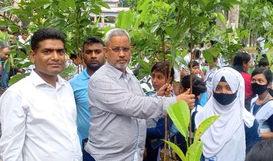 টাঙ্গাইলে জাহ্নবী উচ্চ বিদ্যালয় বিনামূল্যে গাছের চারা বিতরণ
