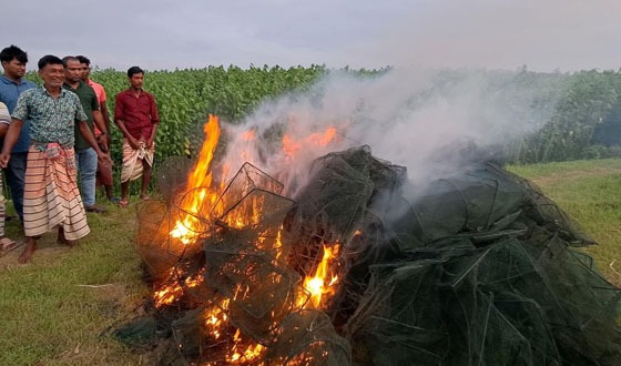 চাটমোহরে চায়না দুয়ারি ও কারেন্ট জাল পুড়িয়ে ধ্বংস