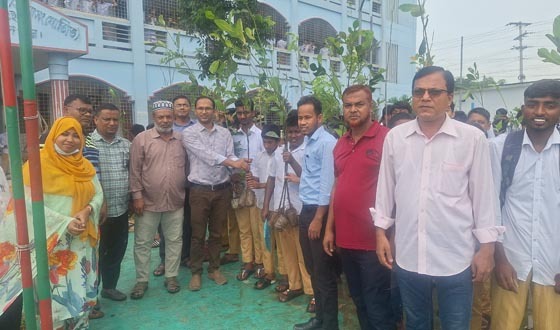 লালপুরে শিক্ষার্থীদের মাঝে বিনা মূল্যে ৬ হাজার গাছের চারা বিবরণ
