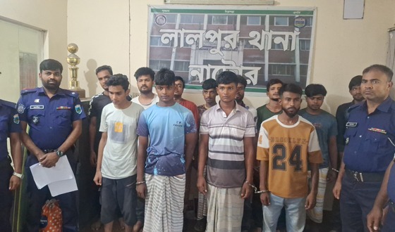 লালপুরে মাদক ও ইমো হ্যাকিং চক্রের ১২ সদস্য গ্রেফতার