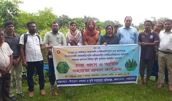 কলমাকান্দায় ২০ হাজার আকাশমণি ও ইউক্যালিপটাস চারা ধ্বংস