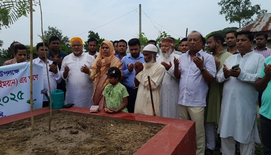 জুলাই গণঅভ্যুত্থানে শহীদদের স্মরণে নাসিরনগরে বৃক্ষরোপণ