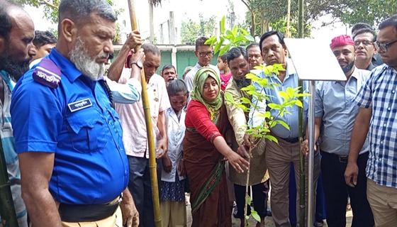 জুলাই গণঅভ্যূত্থান স্মরণে এক শহীদ, এক বৃক্ষ রোপণ কর্মসূচি