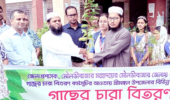 শ্রীমঙ্গলে গাছের চারা বিতরন করলেন ডিসি