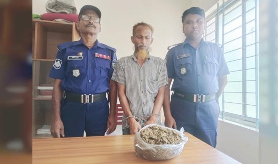 নালিতাবাড়ীতে গাঁজাসহ কারবারি আটক
