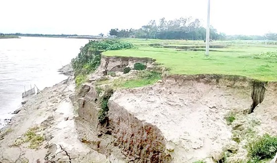 ব্রহ্মপুত্র নদের ভাঙনে বিলীন হচ্ছে বসতভিটা, ফসলি জমি