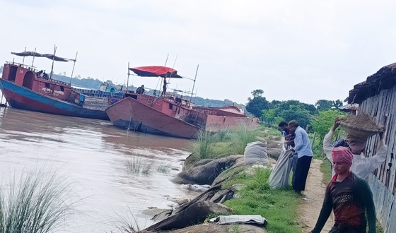 বাঘায় পদ্মার ভাঙন থেকে চকরাজাপুর হাইস্কুল রক্ষার চেষ্টা