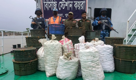 কয়রায় ৭ শ কেজি অবৈধ কাঁকড়া সহ ১ টি ট্রলার জব্দ
