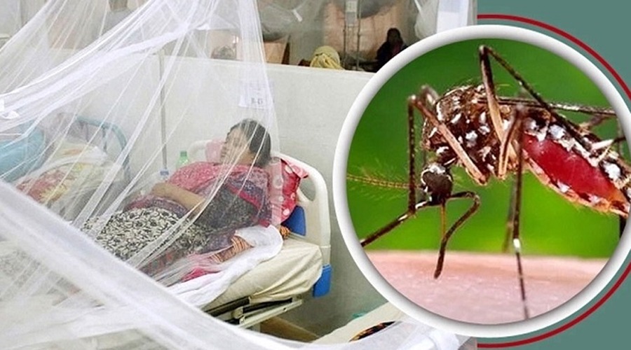 ২৪ ঘণ্টায় ডেঙ্গুতে ২ মৃত্যু, হাসপাতালে ভর্তি ৩৯৪