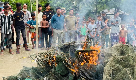 মোল্লাহাটে কোদালিয়া বিলে অবৈধ চায়না দুয়ারী জব্দ
