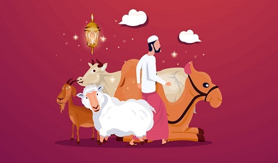 শিশু ধনী হলে কোরবানির হুকুম কি?