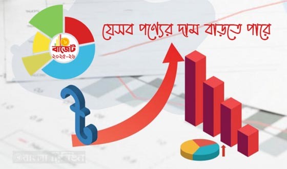 এলপিজি থেকে ব্লেড— যেসব পণ্যের দাম বাড়বে বাজেটের পর