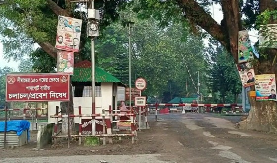 পশুর চামড়া পাচার ঠেকাতে সীমান্তে নজরদারি বাড়িয়েছে বিজিবি