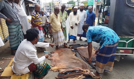 খুলনায় নির্ধারিত মূল্যে বিক্রি হয়নি পশুর চামড়া