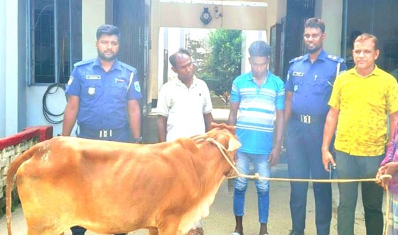 ঘোড়াঘাটে ২ চোর আটক