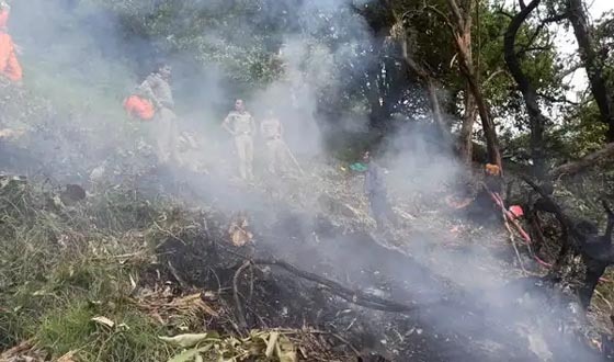 ভারতের উত্তরাখণ্ড রাজ্যে হেলিকপ্টার বিধ্বস্ত, নিহত ৭