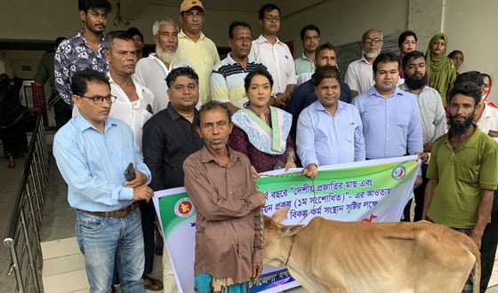 আগৈলঝাড়ায় জেলেদের মাঝে গরু বিতরন