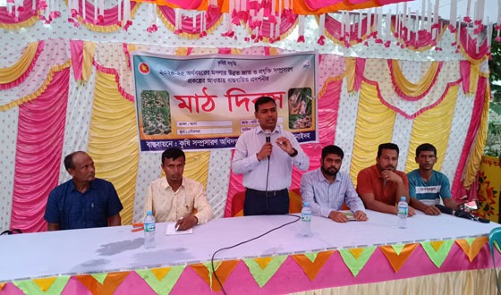 ঝিনাইদহে বস্তায় আদা চাষ বিষয়ক মাঠ দিবস