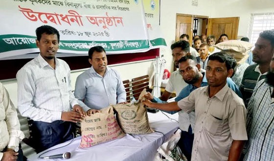 ফুলবাড়ীতে কৃষকের মাঝে বিনামূল্যে বীজ ও সার বিতরণ