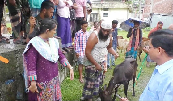 রোগাক্রান্ত বাছুর ফেরত দিয়েছেন ইউএনও