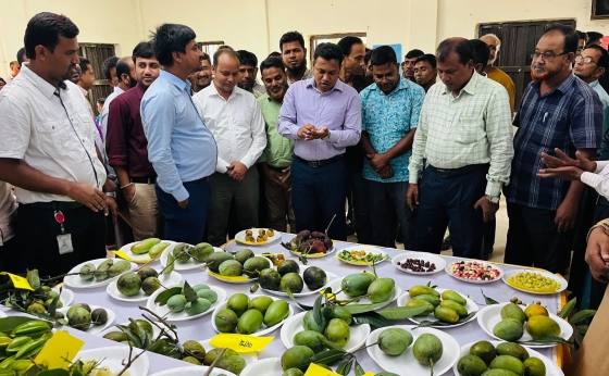 কাপাসিয়ায় ৩দিন ব্যাপী জাতীয় ফল মেলা শুরু