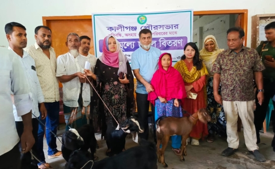 কালীগঞ্জে প্রতিবন্ধী ও অসহায় পরিবারের মাঝে ছাগল বিতরণ