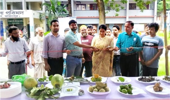 চরভদ্রাসনে জাতীয় ফলমেলা উদ্বোধন