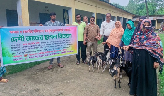 বিরলে মমতা পল্লী উন্নয়ন সংস্থা'র উদ্যোগে ছাগল বিতরণ