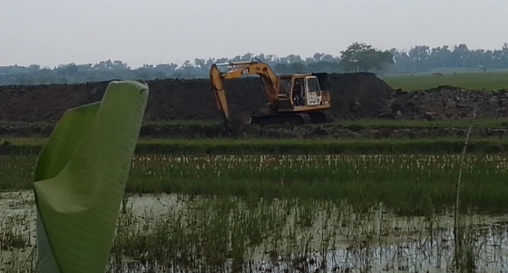 মোহনপুরে অবৈধভাবে পুকুর খনন, হুমকির মুখে ফসলি জমি