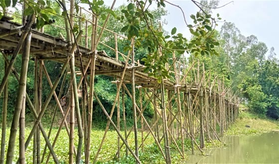 চব্বিশ গ্রামের যাতায়াতের ভরসা ঝুঁকিপূর্ণ সাঁকো