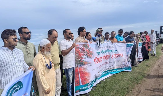 সরাইলে পরিচ্ছন্নতা-বৃক্ষরোপণ অভিযান