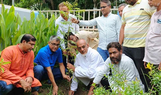 বিশ্ব পরিবেশ দিবস উপলক্ষে পিরোজপুরে বিএনপি'র বৃক্ষরোপণ