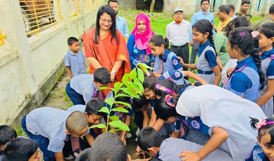 টাঙ্গাইলে সকল সরকারি প্রাথমিক স্কুলে একযোগে বৃক্ষরোপণ