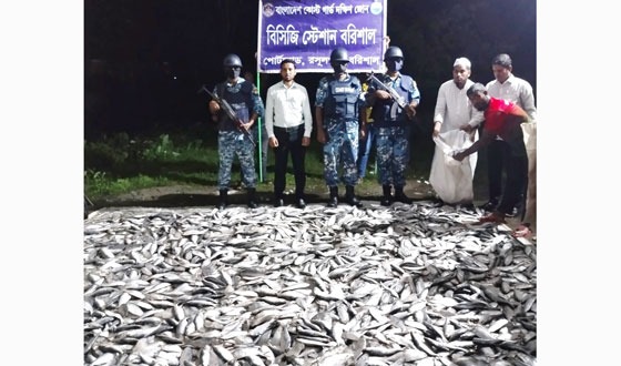 বরিশালে বিপুল পরিমান জাটকা জব্দ