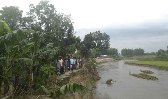 কাহারোলের পূর্নভবা নদী ভাঙ্গন, দ্রুত রোধের দাবি এলাকাবাসীর