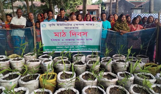 পাটকেলঘাটার ধানদিয়ায় বস্তায় আদাচাষের মাঠ দিবস