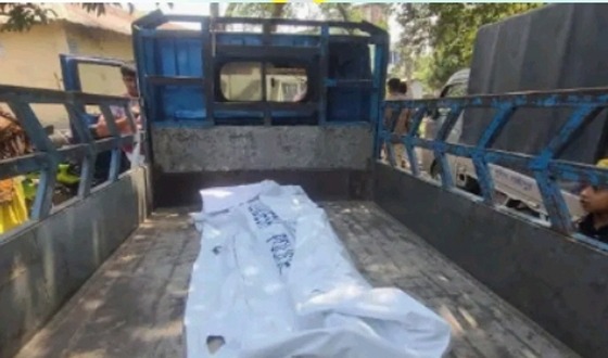 সোনারগাঁয়ে সাপের কামড়ে অটোচালকের মৃত্যু
