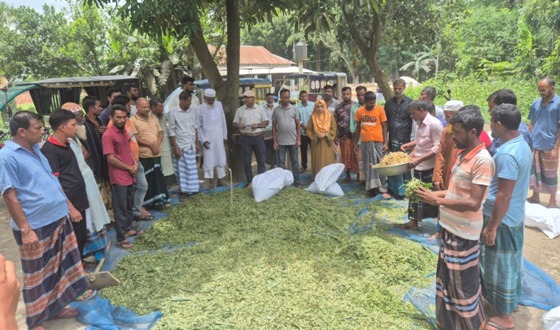 মেলান্দহে কৃষক প্রশিক্ষণ