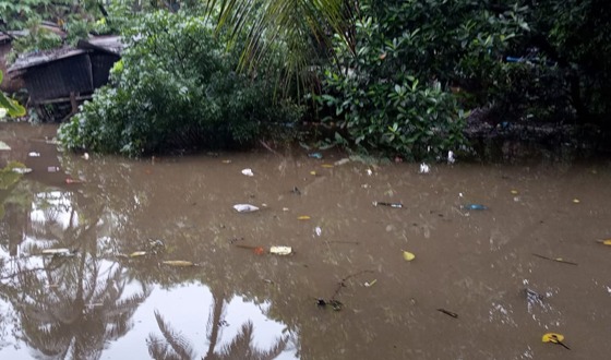 আমতলীর ডোবা-নালা যেন মশার আতুর ঘর, তাড়ানোর উদ্যোগ নেই