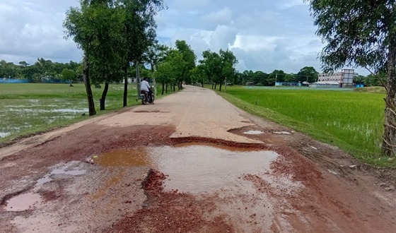 আমতলী-তালতলীর যোগাযোগের একমাত্র সড়কের বেহাল দশা