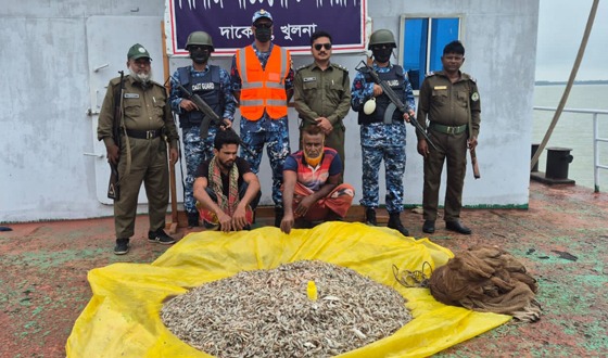 সুন্দরবনের ১ শ কেজি অবৈধ চিংড়ি সহ আটক ২