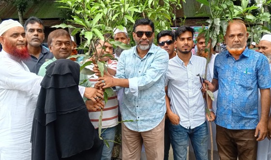 টাঙ্গাইলে পরিবেশ রক্ষায় বিভিন্ন স্কুল কলেজ ও শিক্ষা প্রতিষ্ঠানে বৃক্ষরোপণ