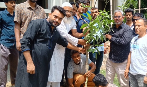 টাঙ্গাইলে পরিবেশ রক্ষায় বিভিন্ন স্কুল কলেজ ও শিক্ষা প্রতিষ্ঠানে বৃক্ষরোপণ