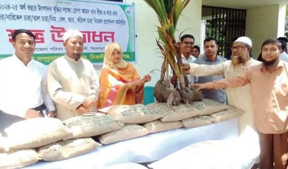 নিকলীতে ধান বীজ সার ও ফলজ বনজ গাছের ছারা উদ্ভোধন