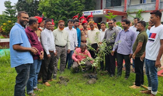 আশাশুনি সরকারি কলেজে বৃক্ষ রোপন